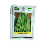 Kalash KSP 168 Arpita Pole-Beans 100gm Desi Vegetable Seeds India