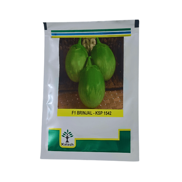 113.png Kalash KSP 1542 F1 Brinjal Vegetable Seeds - Image 1