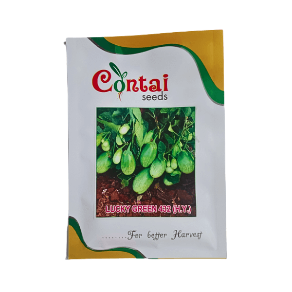 33.png Contai Lucky Green 432 HI-YIELD Brinjal Vegetable seeds - Image 1