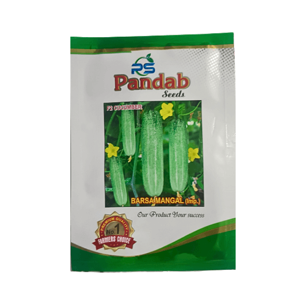 36.png Pandab Barsa Mangal Improved F2 Cucumber Vegetable Seeds - Image 1