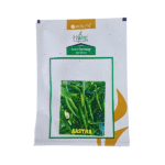 Acsen Hyveg Aastha Hybrid Chilli  Organic Vegetable Seeds