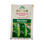Nuziveedu F1 Hybrid Cucumber Best Vegetable Seeds